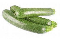 CALABACIN VERDE 