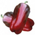 PIMIENTO LAMUYO ROJO