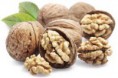 NUECES DE  BADAJOZ