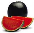 SANDIA 